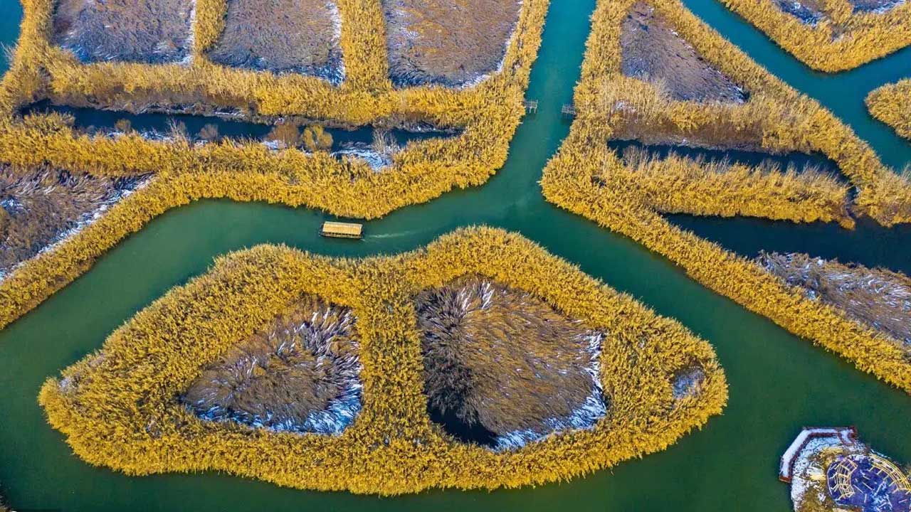 洪澤湖濕地旅游景點.jpg