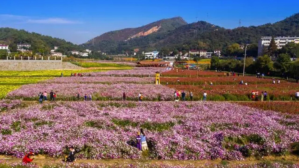 四季花海.jpg